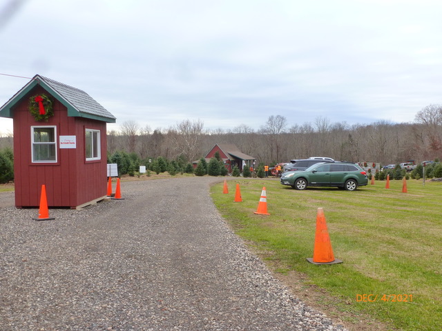 parking lot at tree farm