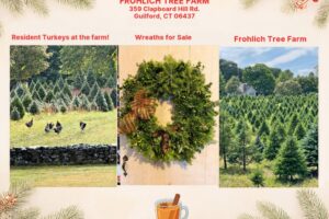 Frohlich-Tree-Farm-Webpage-image