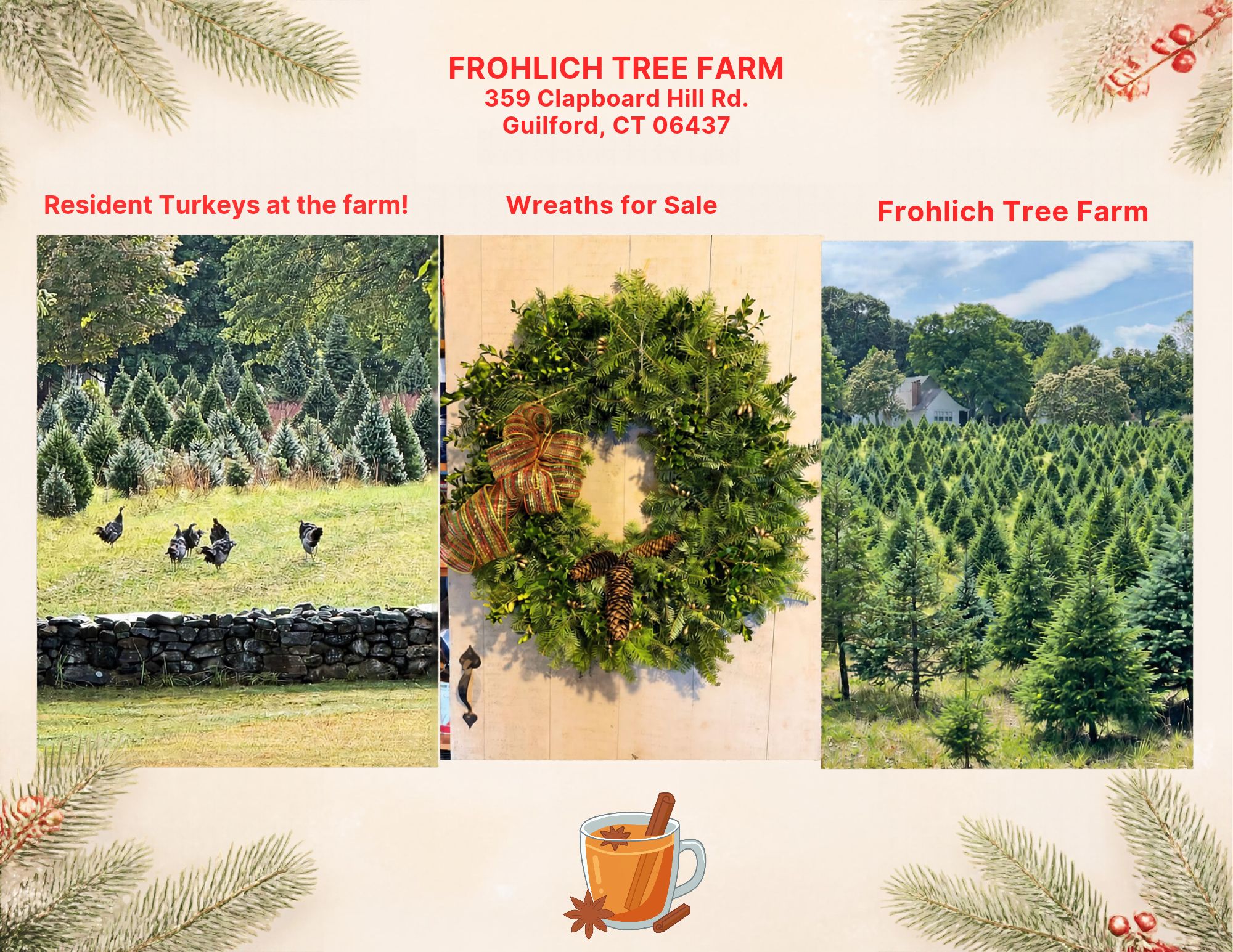 Frohlich-Tree-Farm-Webpage-image