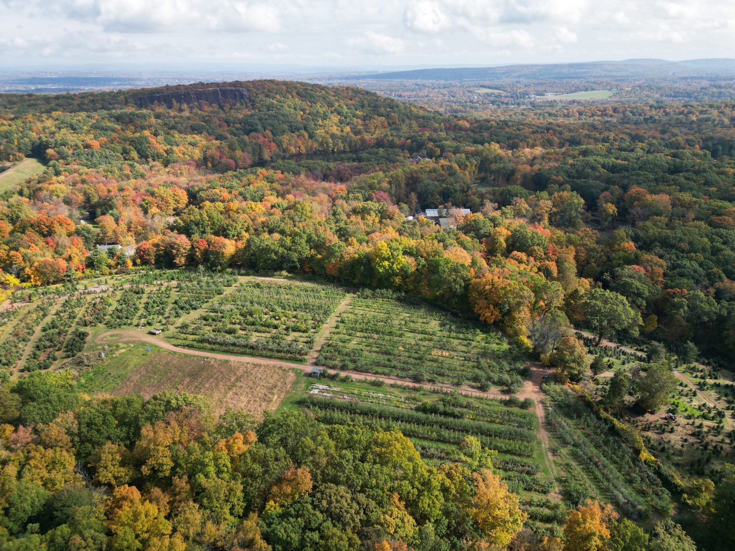 Karabin Christmas Tree Farm aerial shot on a fall day