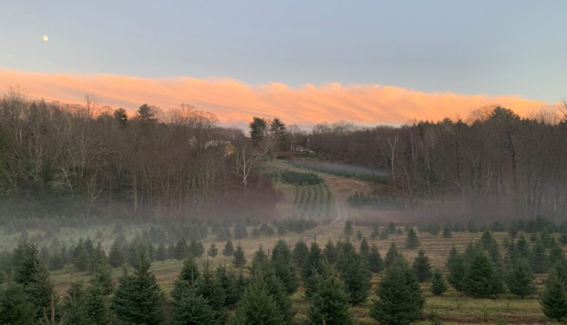 holiday farm - fb