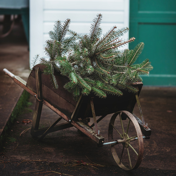 wagon with greenery-square