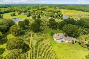Maple-Lane-Farms