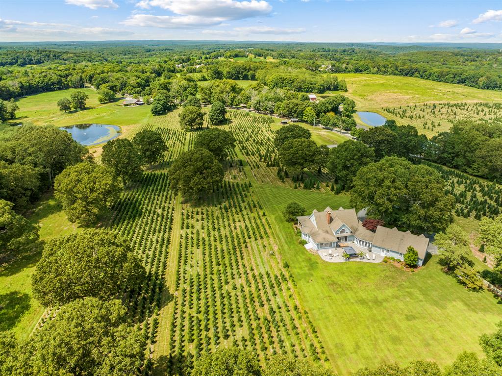 Maple-Lane-Farms